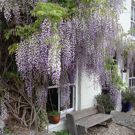 Half Moon House Apartment Hay-On-Wye Exterior foto
