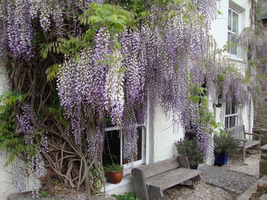 Half Moon House Apartment Hay-On-Wye Exterior foto